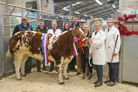 The champion beast at Melton Christmas Fatstock Show and Sale, shown by C&G Davies, with MBAS chair Jonathan Thompson and vice-chair Hugh Brown, auctioneer Scott Ruck and his team