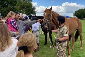 Families meet one of the military horses at Saturday's open day at Melton's Defence Animal Training Regiment Remount Barracks