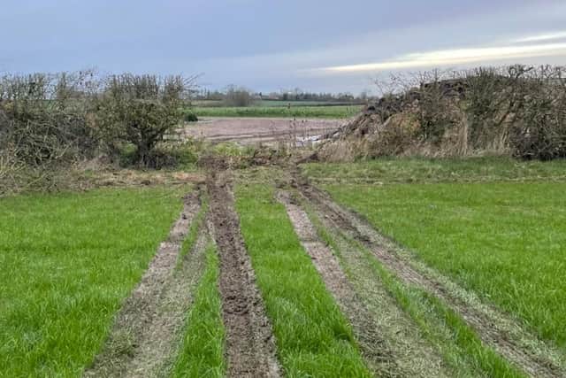 Thieves steal showjumping equipment from Vale View Equestrian - tyre marks made by the intruders