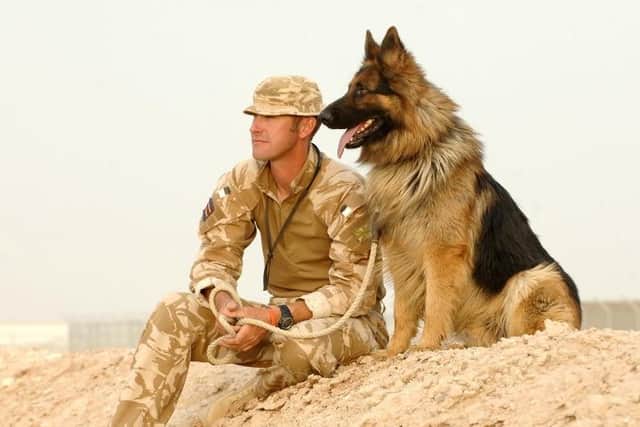 A military working dog in a theatre of war with the RAVC