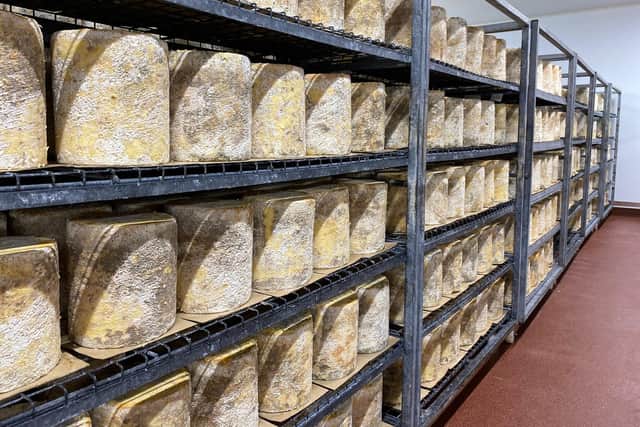Rows of Stilton cheese being stored during the maturing process at Long Clawson Dairy