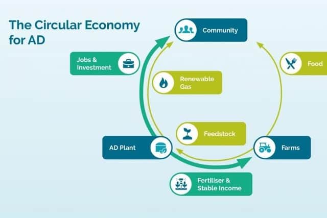A graphic explaining the process behind agricultural anaerobic digestion