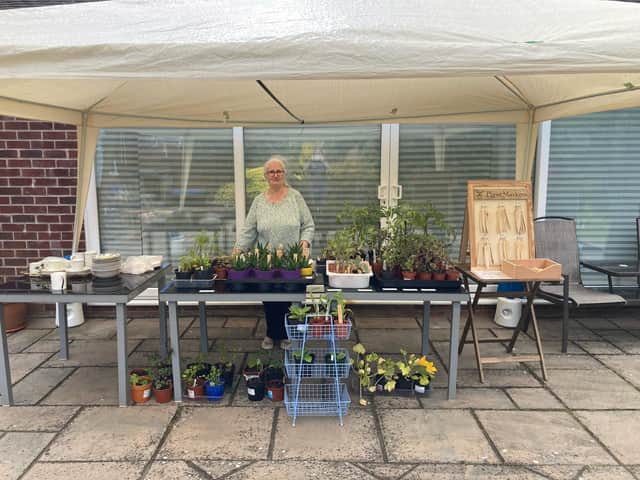 Sheila Sulley on the stall in her garden for the St John's Church fundraiser