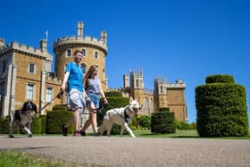 DogsFest at Belvoir Castle