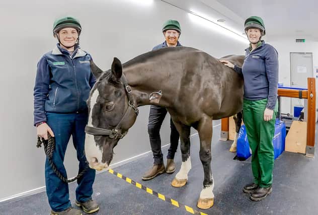 Members of the Chine House equine team, (left to right) nursing assistant Janina Pitt, equine vet Kyle Black and veterinary nurse Heather Langrick