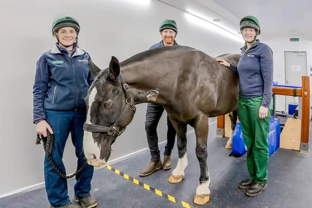 Members of the Chine House equine team, (left to right) nursing assistant Janina Pitt, equine vet Kyle Black and veterinary nurse Heather Langrick