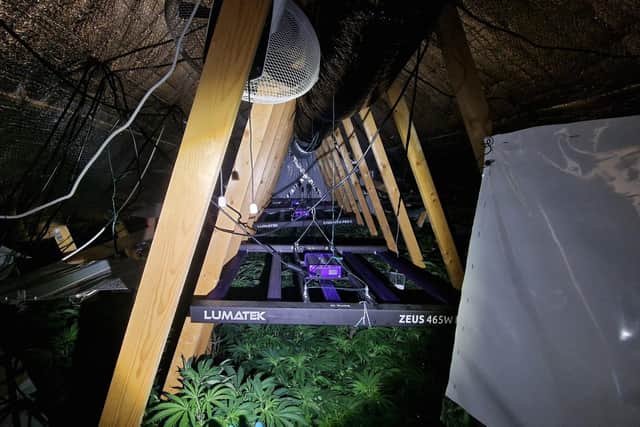 Melton Police made this chance discovery of a 'fairly large' cannabis farm in Vale of Belvoir
