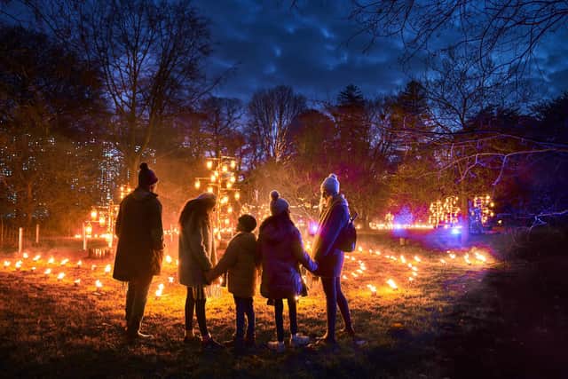 Fire Garden by Culture Creative. Photo by Richard Haughton for Sony Music