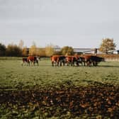 A field worked on by agricultural students at Brooksby's college campus