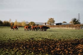 A field worked on by agricultural students at Brooksby's college campus