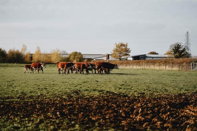 A field worked on by agricultural students at Brooksby's college campus