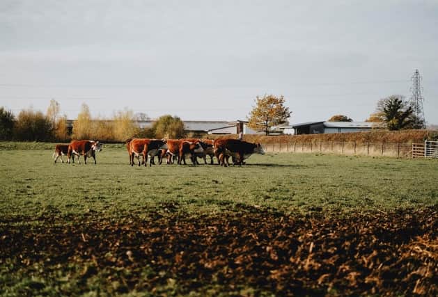 A field worked on by agricultural students at Brooksby's college campus