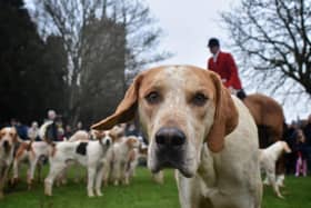 The Melton New Year hunt meet in Play Close Park back in January 2020