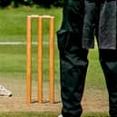 Cricket news.