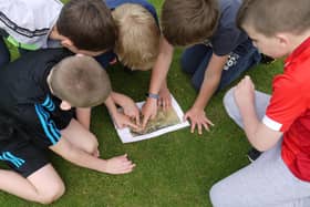 Youngsters study a map during an orienteering session