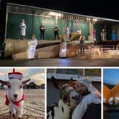Scenes from previous drive-in living Nativity events at Melton market