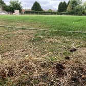 Dog mess near the boundary at Old Dalby Cricket Club