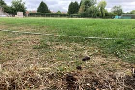 Dog mess near the boundary at Old Dalby Cricket Club