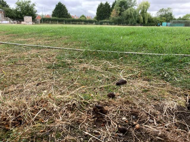 Dog mess near the boundary at Old Dalby Cricket Club