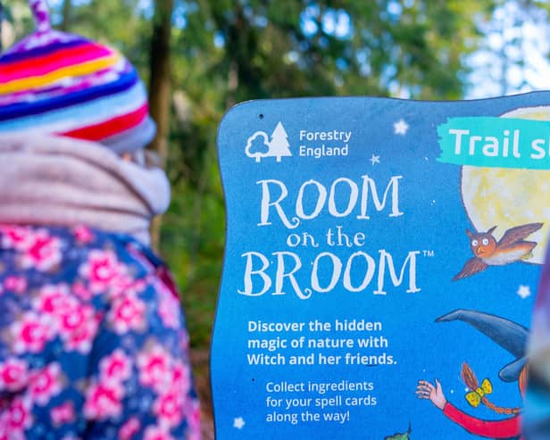 A trail panel at the start of the Room on the Broom trail
