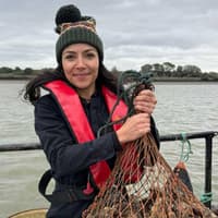 Melton brewery produces beer using oysters from the Essex coast