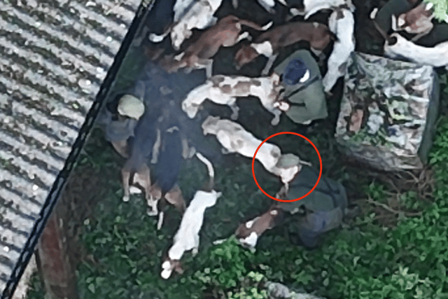 Members of the Quorn Hunt at the scene of what the Northants Hunt Saboteurs say was the killing of a fox at Kirby Bellars DRONE IMAGE Northants Hunt Saboteurs