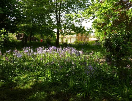 The gardens at Burrough Hall, which are open to the public on Sunday