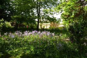 The gardens at Burrough Hall, which are open to the public on Sunday