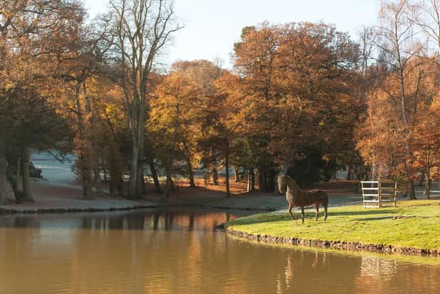 Frogs Hollow in the Belvoir Estate