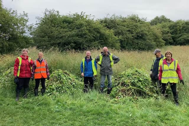 FOMCP during one of their Himalayan Balsam removal sessions