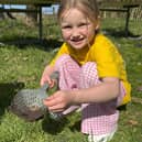 Mud pies