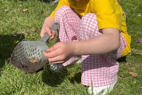 Mud pies