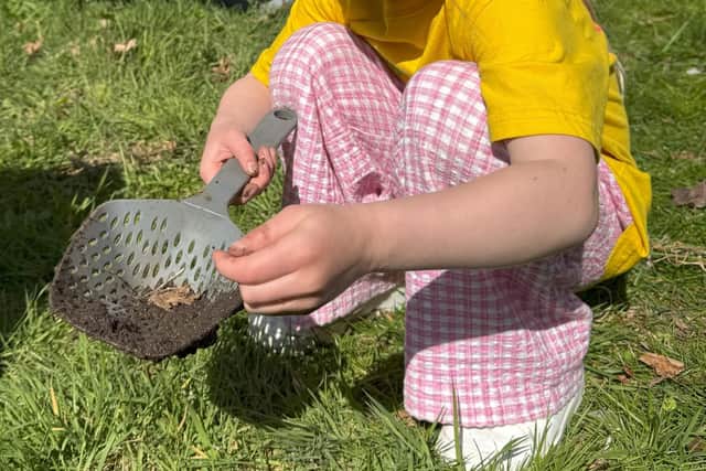 Mud pies