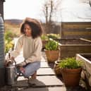 Severn Trent has given almost 500 free water butts to customers in Leicestershire
