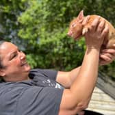 Olivia Mikhail is giving this advice to Melton pig lovers - Animal News Agency