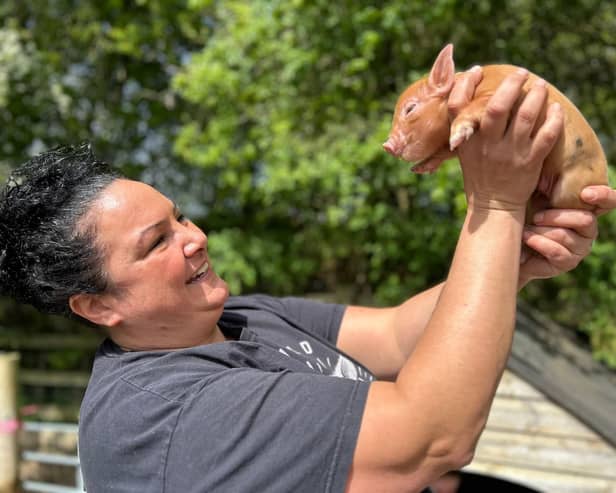 Olivia Mikhail is giving this advice to Melton pig lovers - Animal News Agency