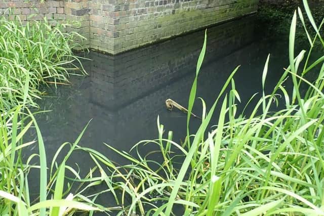 The polluted water in Welby Brook caused by a farmer illegally discharging effluent into it
PHOTO ENVIRONMENT AGENCY