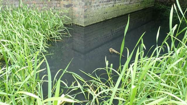 The polluted water in Welby Brook caused by a farmer illegally discharging effluent into it
PHOTO ENVIRONMENT AGENCY
