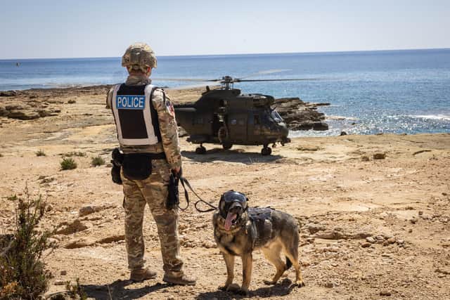 The RAF Police Military Working Dog Section in RAF Akrotiri taking part in a Puma flight to hone their skills as Dog HandlersPHOTO: MOD