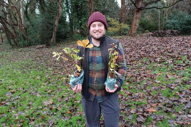 Apply now for your free tree packs.