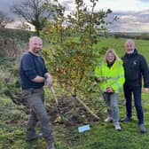 James Jesson plants a tree grown from an acorn near the Arnhem battlefield at the Friends of the Tenth memorial at Burrough-on-the-Hill