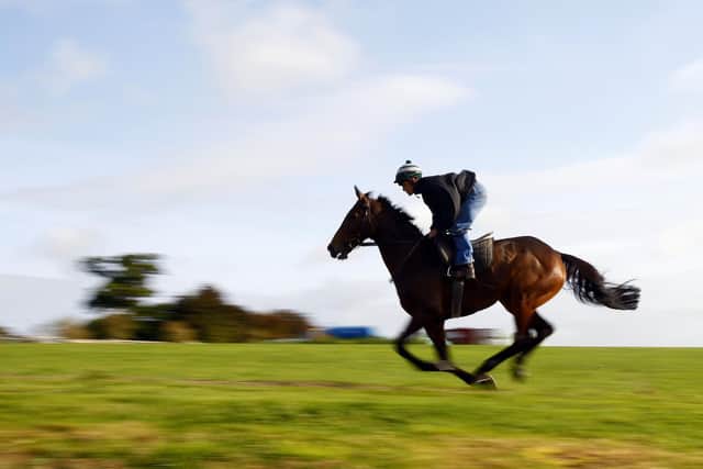 Imperial Commander with Richard Bevis leading up the gallops ready to run in The Betfair Chase 
pic Dan Abraham - focusonracing.com