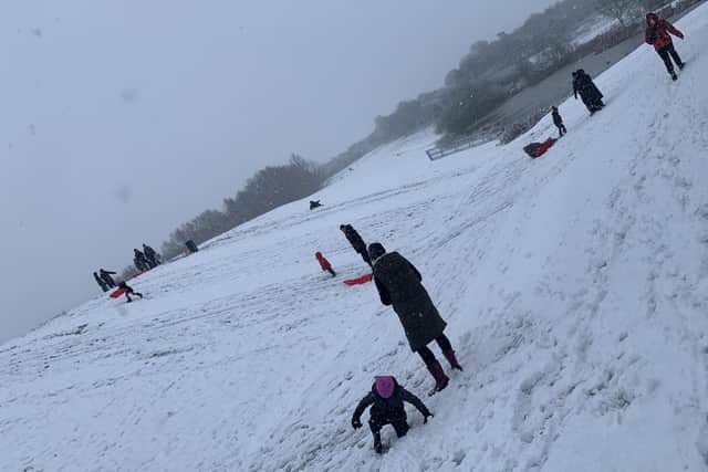 Families enjoying sledging in Melton Country Park this morning