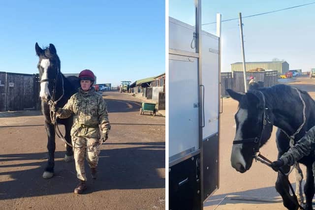 Horses with the Household Cavalry leave Melton's DATR base to return to ceremonial duties in London