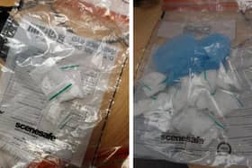 Police find 29 bags of cocaine in 'twitchy' and 'nervous' driver's underpants during stop and search