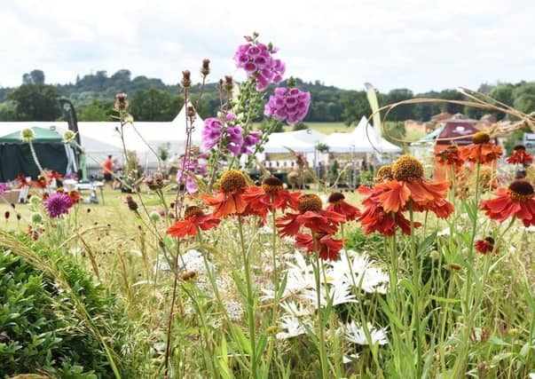Belvoir Castle's Flower & Garden Show