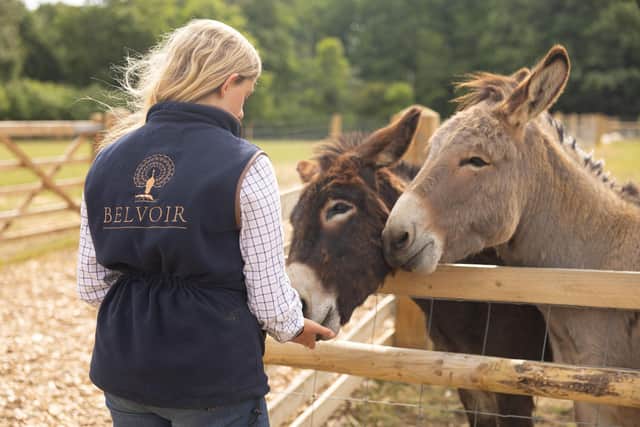 The Animal Park at Belvoir Castle