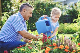 August often means summer holidays away from home – but it is important to not neglect your garden. Ask friends, family, and neighbours to water plants and flowers