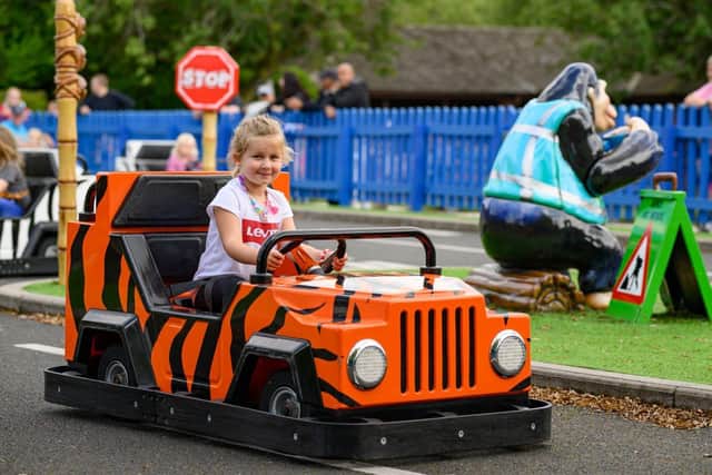 Monkey Mayhem Driving School at Sundown Adventureland