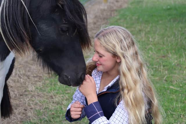 Getting up close to a pony at the new animal park at Belvoir Castle